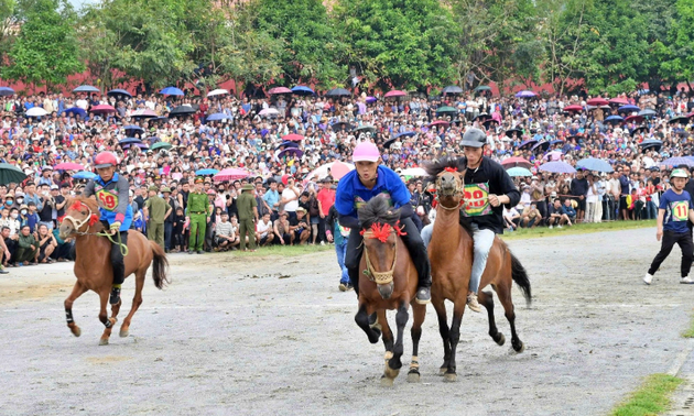 Traditionelles Pferderennen auf dem Weißen Plateau von Bac Ha