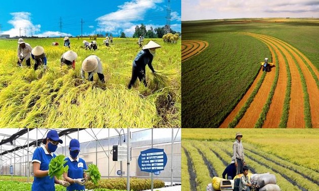 Befreiung der Steuer für landwirtschaftliche Flächen trägt zur Neugestaltung ländlicher Räume bei