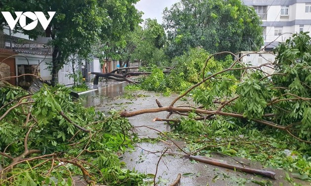 Taifun Kajiki: drei Tote und zehn Verletzte