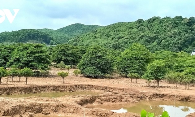 공동체 의식을 통한 맹그로브 숲 보호