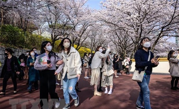 한국, 베트남관광객 유치 위한 다양한 활동 진행