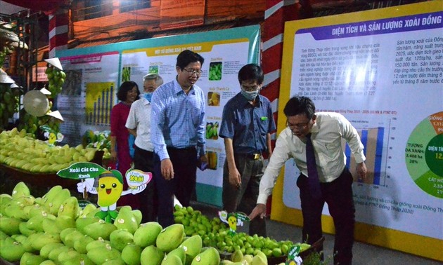 동탑성, 2023년 망고 축제 개최