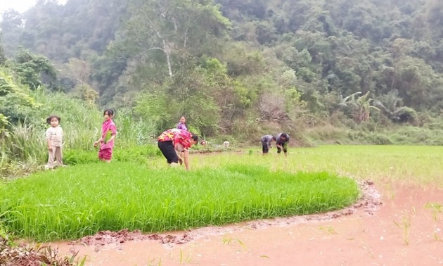 나학마을 자오족 공동체의 산림 보호 의식