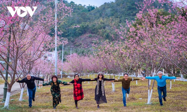 13,000여 명의 관광객, 목쩌우 고원 관광