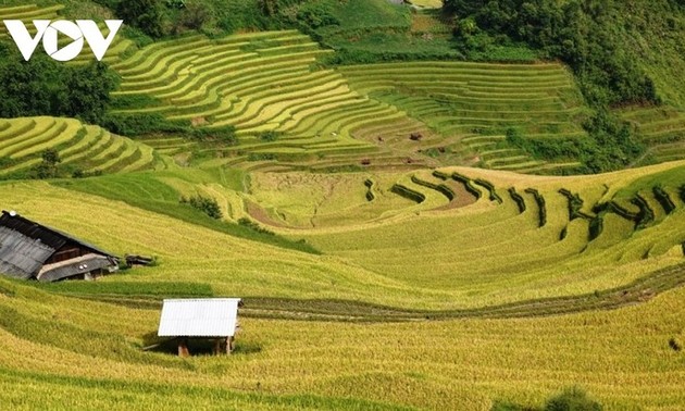 2025 베트남 알아보기 대회 (2025년 3월 17일~23일)