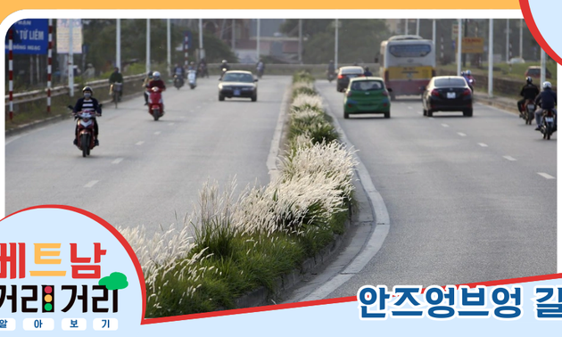 ≪베트남 거리거리 알아보기≫ 12회: 안즈엉브엉(An Dương Vương) 길