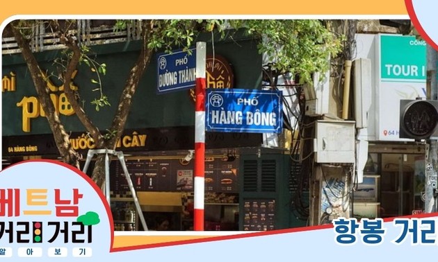 ≪베트남 거리거리 알아보기≫ 16회: 항봉(Hàng Bông) 거리