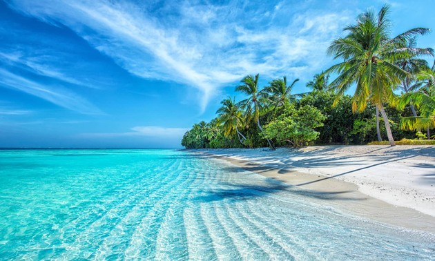 냐짱 – 푸른 바다와 그리움