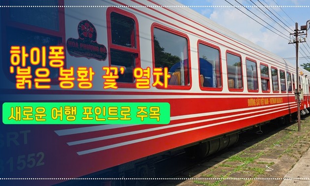 하이퐁 '붉은 봉황 꽃’ 열차, 새로운 여행 포인트로 주목