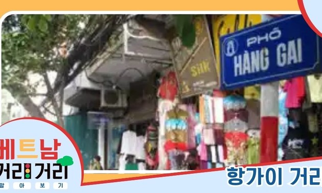 ≪베트남 거리거리 알아보기≫ 26회: 항가이(Hàng Gai) 거리