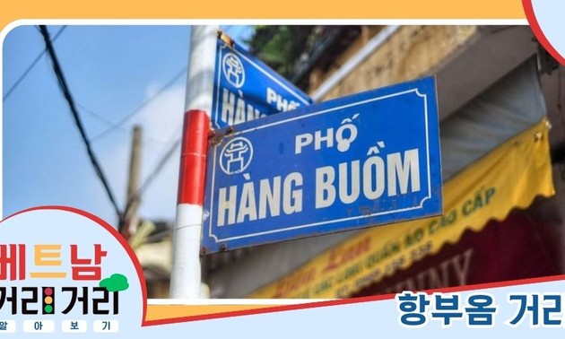 ≪베트남 거리거리 알아보기≫ 24회: 항부옴(Hàng Buồm) 거리