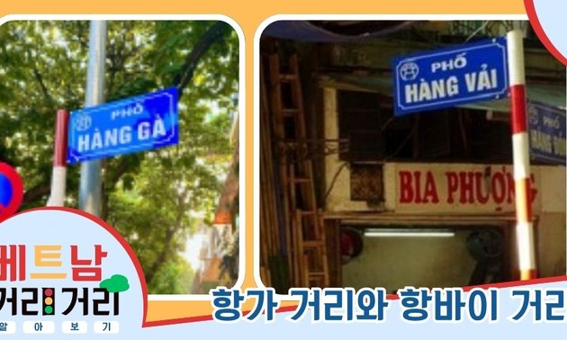 ≪베트남 거리거리 알아보기≫ 28회: 항가(Hàng Gà) 거리와 항바이(Hàng Vải) 거리