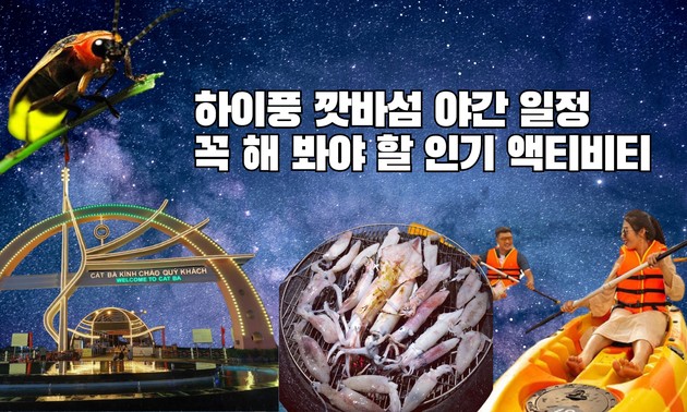 깟바섬 야간 일정: 꼭 해 봐야 할 인기 액티비티