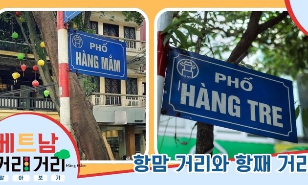 ≪베트남 거리거리 알아보기≫ 30회: 항맘(Hàng Mắm) 거리와 항째(Hàng Tre) 거리