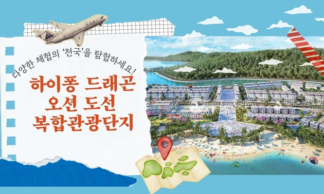 하이퐁 드래곤 오션 도선 복합관광단지: 다양한 체험의 ‘천국’을 탐험하세요!
