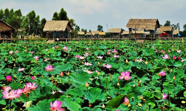 동탑 – 만발하는 연꽃의 고장