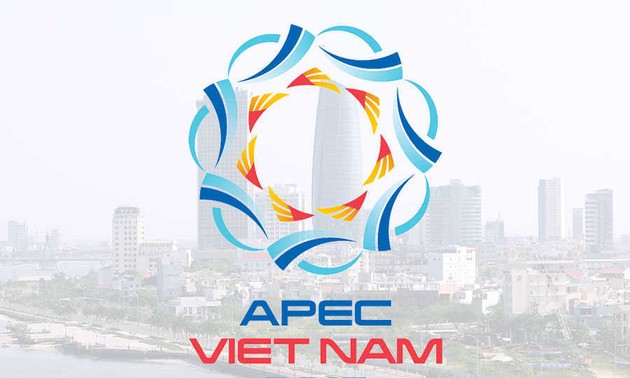 APEC ២០១៧៖វៀតណាមពង្រីកតួនាទីជាប្រទេសម្ចាសផ្ទះដោយមានការរួមវិភាគទាននានា