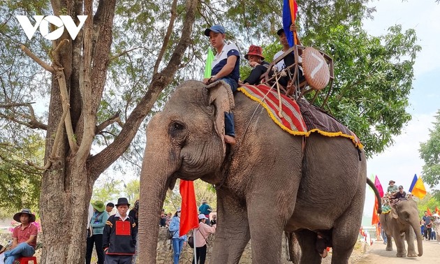 ពិធីសែនសុំសេចក្ដីសុខជូនដំរីនៅខេត្ត Dak Lak