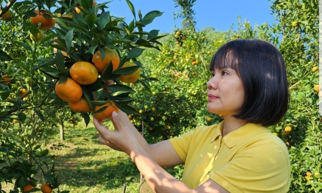 អ្នកស្រី Vu Thi Le Thuy - គំរូក្នុងការអភិវឌ្ឍសេដ្ឋកិច្ចជនបទនៅខេត្ត Hoa Binh