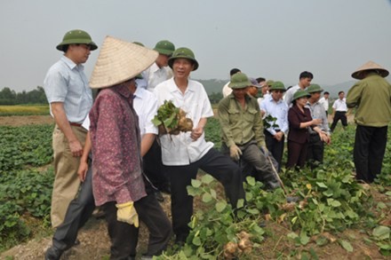 QUANG THINH៖ប្រជាជនបរិច្ចាកដីដើម្បីកសាងជនបទថ្មី