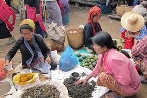 សមាជិកសភាអង់គ្លេសអំពាវនាវបង្កើនជំនួយឲ្យម៉ីយ៉ាន់ម៉ា