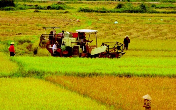 រដ្ឋាភិបាលវៀតណាមប្រមូលផ្តុំរៀបចំរចនាសម្ព័ន្ធផ្នែកកសិកម្មឡើងវិញ