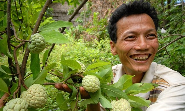 ឆ្លើយសំណួរនៃមិត្តអ្នកស្តាប់មួយចំនួន