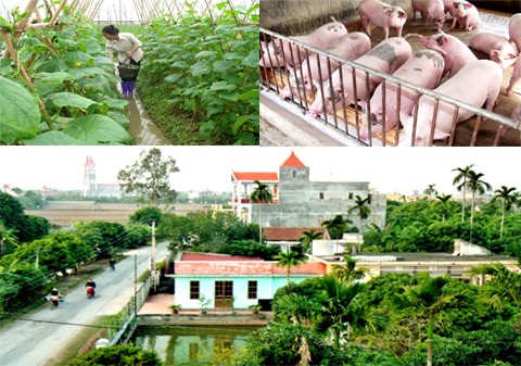 រណសិរ្សមាតុភូមិវៀតណាមសកម្មចូលរួមក្នុងការកសាងជនបទថ្មី 