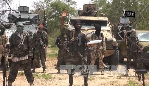 Nigeria៖ ពួកឧទ្ទាម Boko Haram ដោះលែងចំណាប់ខ្មាំងចំនួន ១៩២ នាក់