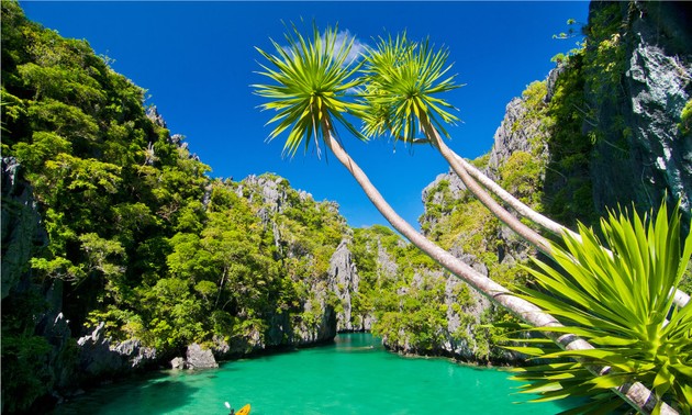 កោះ Palawan - ទីមកដល់ទេសចរណ៍គួរឲ្យចាប់អារម្មណ៍របស់ហ្វីលីពីន