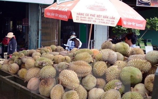 លើកដំកើងពាណិជ្ជសញ្ញាកសិកម្មមាសវៀតណាមជាលើកដំបូង