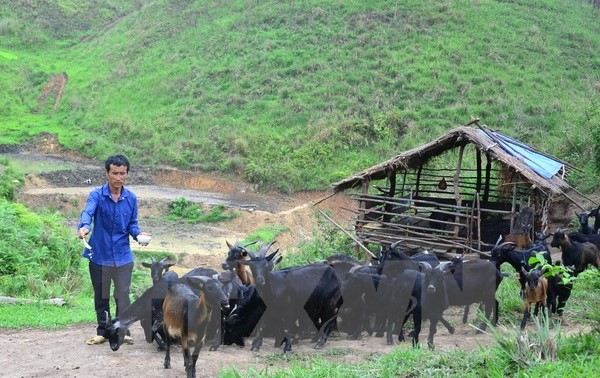 វៀតណាមចាត់ទុកការងារកាត់បន្ថយភាពក្រីក្រជាគោលដៅសកលខ្ពស់បំផុត