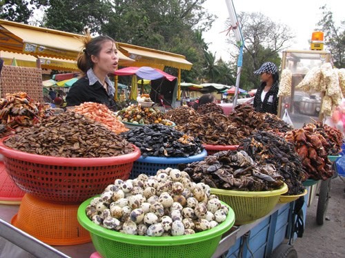 ការទាក់ទាញទឹកចិត្តរបស់មុខម្ហូបនានាតាមវិថីនៅកម្ពុជា