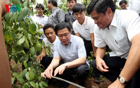 ឧបនាយករដ្ឋមន្ត្រីលោក Vuong Dinh Hue អញ្ជើញទៅបំពេញទស្សនកិច្ចការងារនៅខេត្ត Gia Lai 