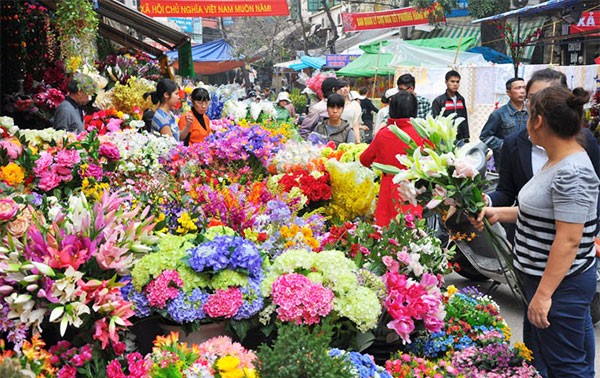 ឧទ្ទេសនាមអំពីផ្សាផ្ការាត្រី Quang Ba នៅទីក្រុងហាណូយ