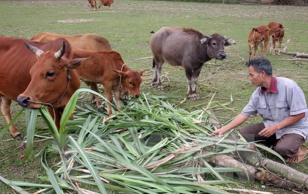 អាស៊ាន-ចិនសហប្រតិបត្តិការអនុវត្តបណ្ដាគោលដៅសហសវត្ស