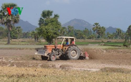 តំបន់សេដ្ឋកិច្ចមុខព្រួញវាលសណ្ដរទន្លេ Cuu Long អភិវឌ្ឍន៍សេដ្ឋកិច្ច សង្គម 