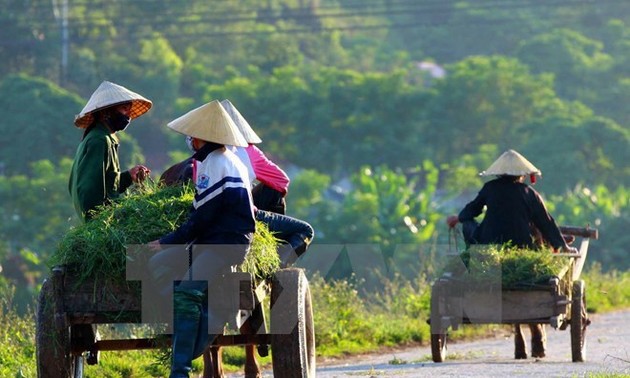  ជំរុញខ្លាំងដំណើការកែទម្រង់កសិកម្មឆាប់រហ័ស