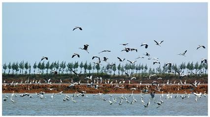 ដំណើរទួរទេសចរណ៍សហគមន៍នៅតំបន់ជបទ Bac Bo