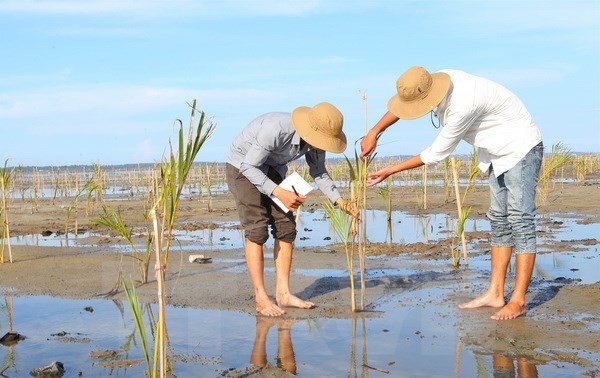 វៀតណាមម្ចាស់ការសកម្មចូលរួមសហប្រតិបត្តិការក្នុងអាស៊ានអំពីបរិស្ថាន