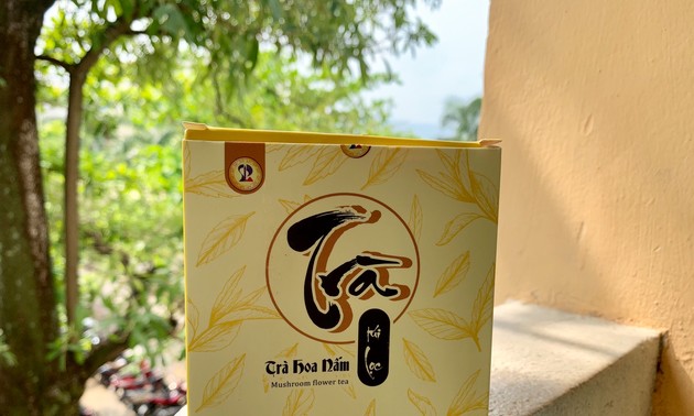 Mahasiswa Da Nang Dirikan Start Up Produk Teh Jamur