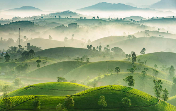 Fotografer Vietnam Berprestasi dalam Kontes Fotografi Internasional