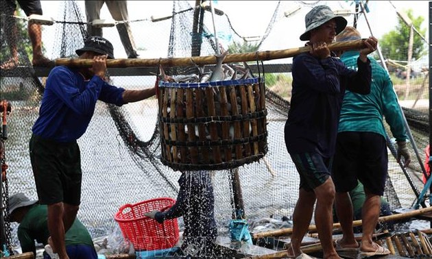 Hasil Pertanian, Kehutanan dan Perikanan Surplus Sekitar 3,3 Miliar USD