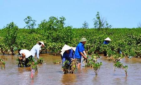 世界银行帮助越南应对气候变化和实现绿色增长