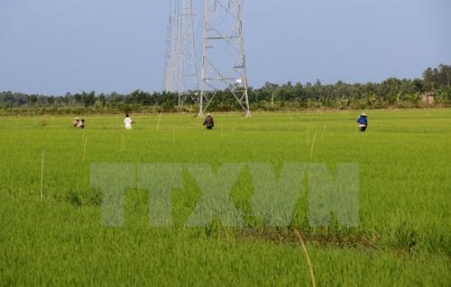 放宽九龙江平原农业用地拥有量限制面向大生产