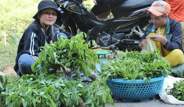 新冠肺炎疫情期间的同胞情