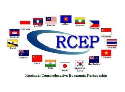 制定有效实施 RCEP 的行动计划