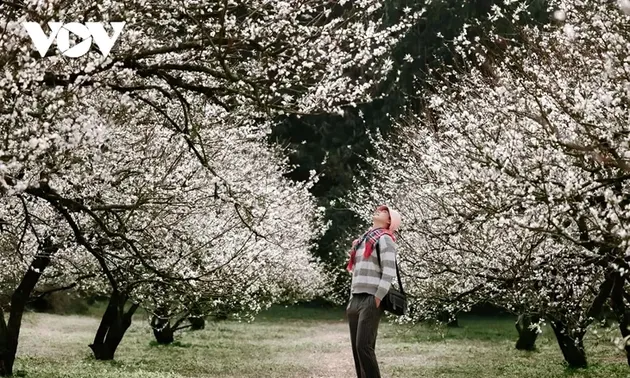 木州高原繁花盛开召唤冬日到来