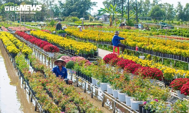 西南部地区花卉之绽放春日色彩