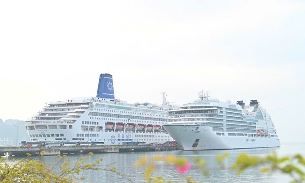 丙午春节接待多艘游轮